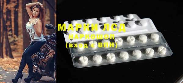 ГАЛЛЮЦИНОГЕННЫЕ ГРИБЫ Аркадак