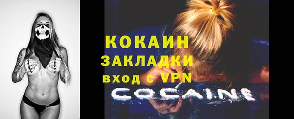 индика Россошь