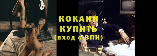ГАЛЛЮЦИНОГЕННЫЕ ГРИБЫ Аркадак