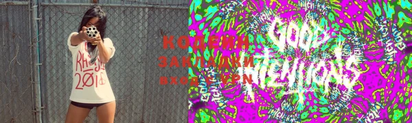 ГАЛЛЮЦИНОГЕННЫЕ ГРИБЫ Аркадак