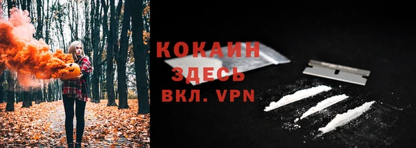 ГАЛЛЮЦИНОГЕННЫЕ ГРИБЫ Аркадак